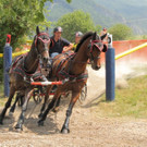 Viechtwang Marathon 2021 1441.jpg