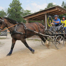 Gold für Enrico Allgäuer