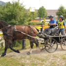 Viechtwang Marathon 2021 311.jpg