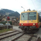 812779.jpg