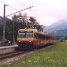 812780.jpg