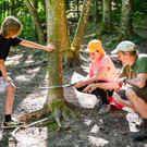 Klimaschutz: Kinder arbeiten an Waldprojekt mit