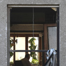 ABD0062-20210625.jpg
