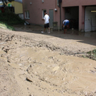 normal_270809aufraeumunguwhd__2833_29.jpg