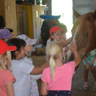 Erstklässler zu Besuch am Bauernhof