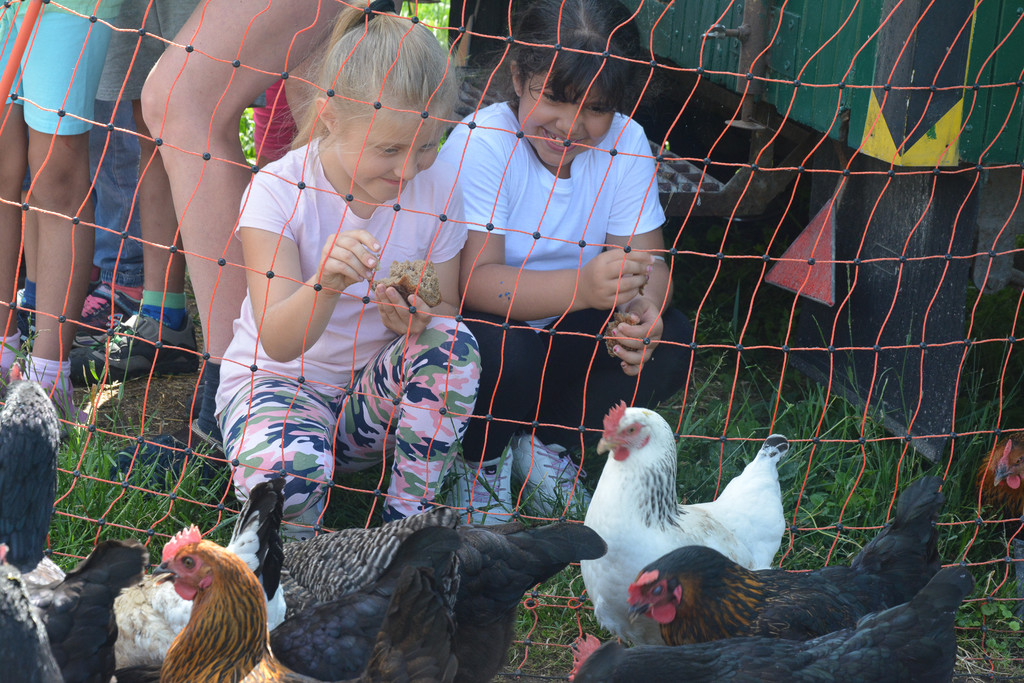 Freude am Umgang mit H__hnern.jpg