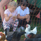 Freude am Umgang mit H__hnern.jpg
