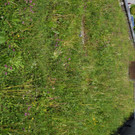 DSC_0358 _Gro___.JPG