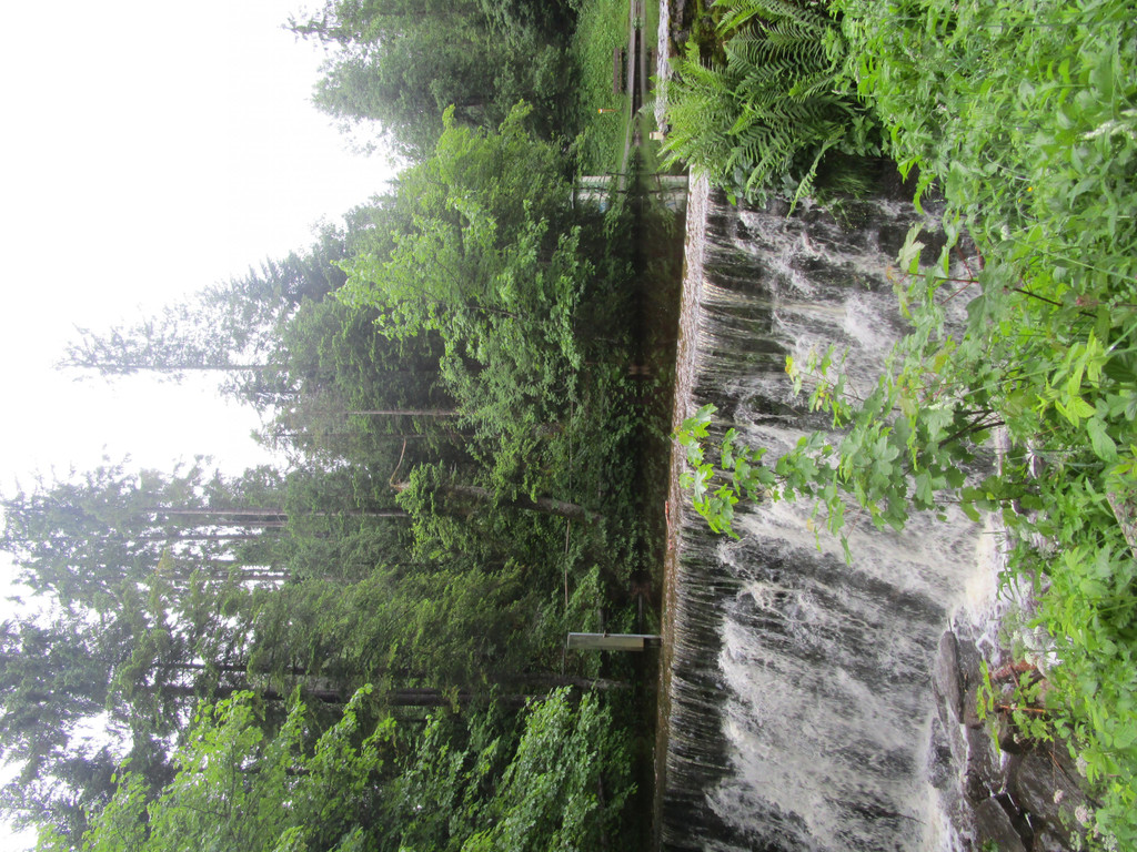 IMG_4377.JPG
