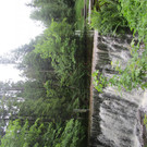 IMG_4377.JPG