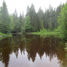 IMG_4378.JPG