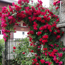 IMG_20210701_155359.jpg