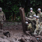 AFP_9DX33Y.jpg