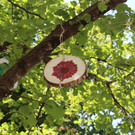IMG_3252.JPG