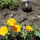 IMG_3274.JPG