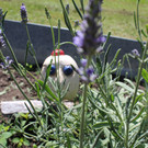 IMG_3280.JPG