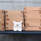 Kreativ auch in der Corona-Krise