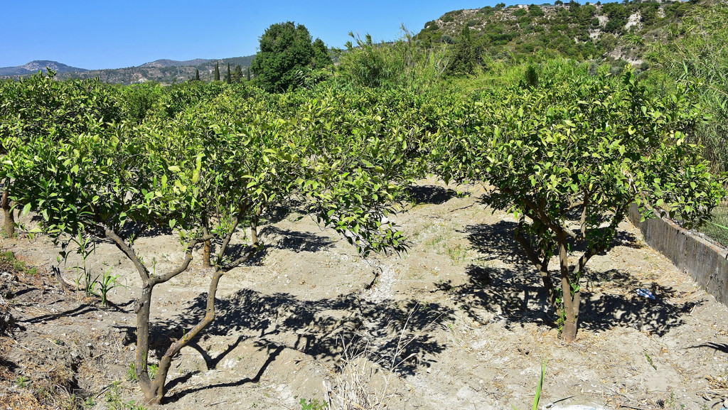 DSC_6936xx - Kopie - Kopie.jpg