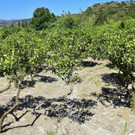 DSC_6936xx - Kopie - Kopie.jpg