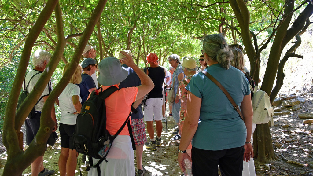 DSC_6967xx - Kopie - Kopie.jpg