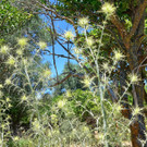 DSC_6984xx - Kopie - Kopie _2_.jpg