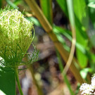 DSC_6994xx - Kopie - Kopie.jpg