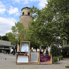 IMG_6294.JPG
