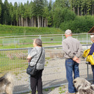Straußenfarm und Mostbauer