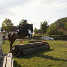 Cross Springen