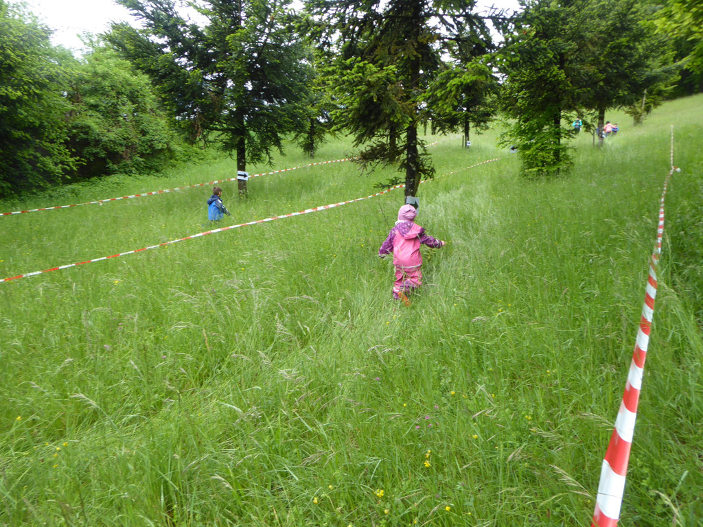 P1270253.JPG