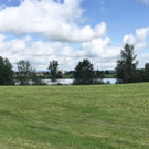 IMG_1474_1625993441761.jpeg