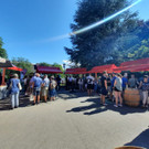 dorfmarkt.jpg