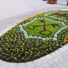 825904.jpg