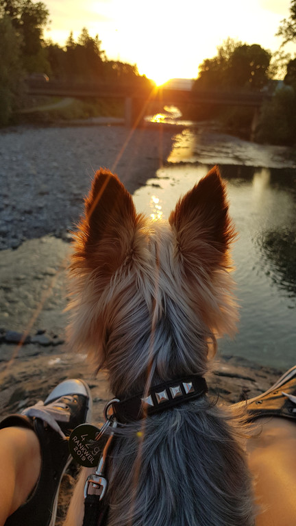 Platz eins_ Foto von Janine Baldauf.jpg