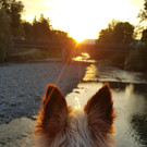 Lichtblicke: Top-10-Fotos
