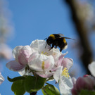 103_Fotowettbewerb_01.jpg