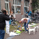 Netherlands_Journalist_Shot_80464.jpg