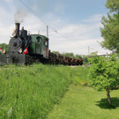 Rheinbähnle verschwindet nach über 100 Jahren