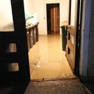 ABD0091-20210718.jpg