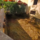 ABD0064-20210718.jpg