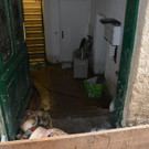 ABD0447-20210718.jpg