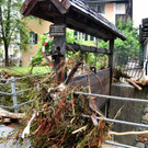 ABD0371-20210718.jpg