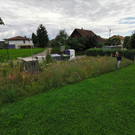 IMG_20210716_164518.jpg
