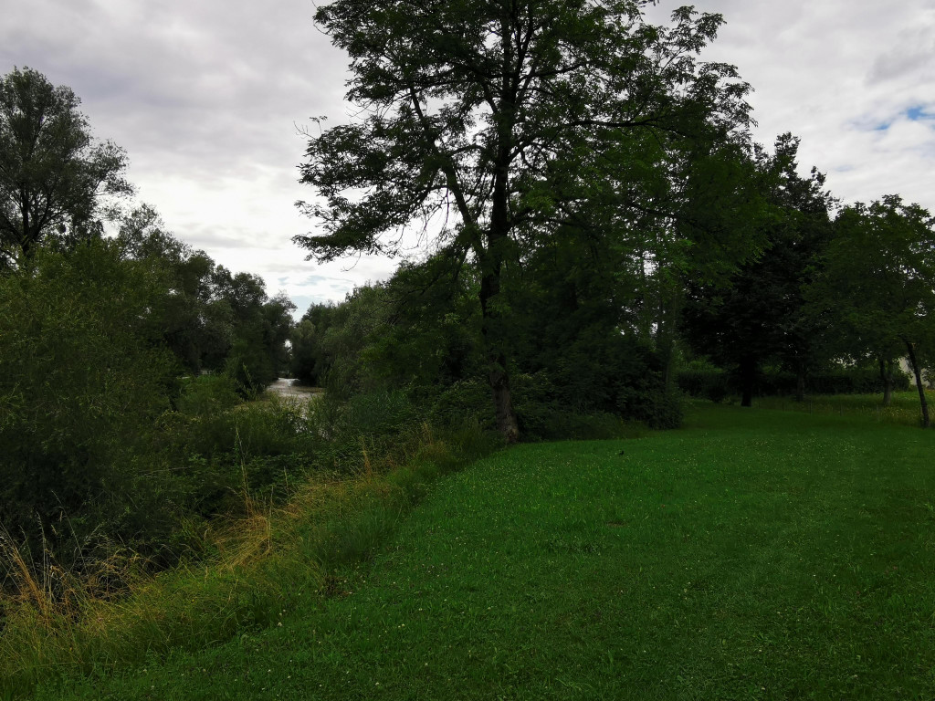 IMG_20210716_165455.jpg