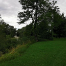 IMG_20210716_165455.jpg