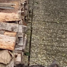 Foto_3.jpg