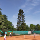 IMG_20210712_115150.jpg