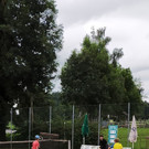 IMG20210714115044.jpg