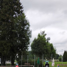 IMG20210714115053.jpg