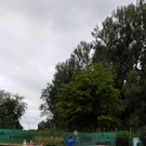 IMG20210714115652.jpg